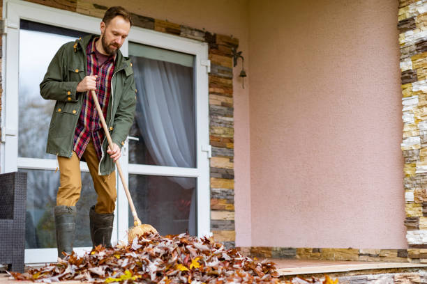 Basement Cleanout Services in Cambridge, WI
